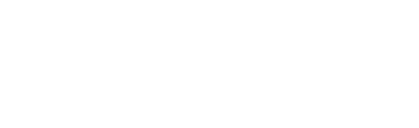 IVE — Invision Elite